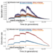 Effects of archipelago geo-environmental ...