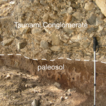 Megatsunami deposits and range expansion ...